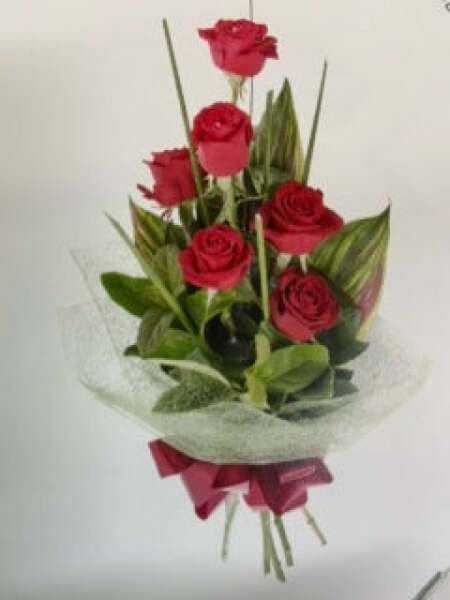 6 Red Roses