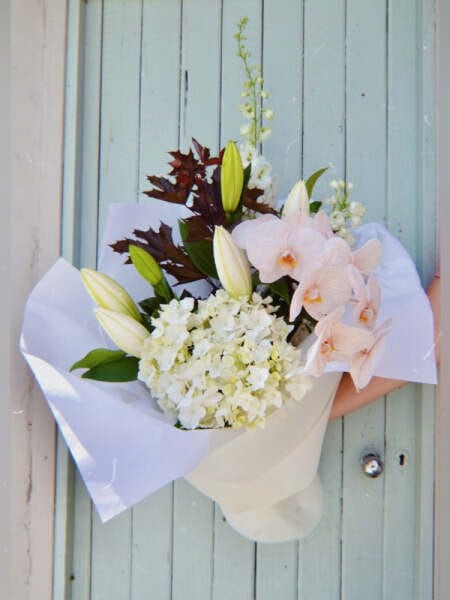 Blush Splendour